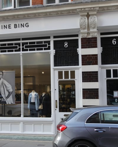 Anine Bing