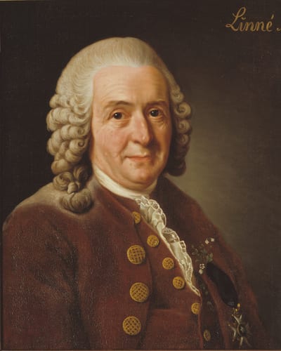 Carl Linnaeus