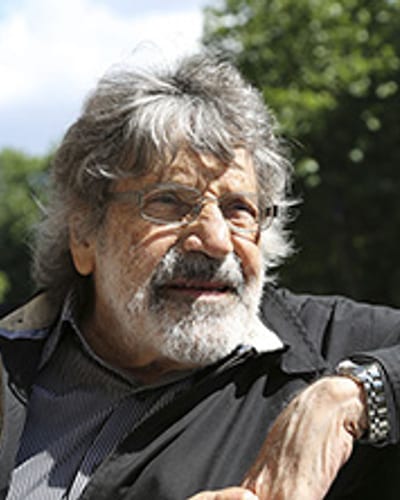 Carlos Cruz-Diez