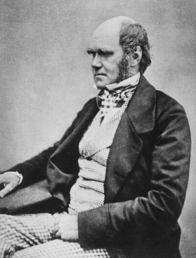 Portrait of Charles Darwin