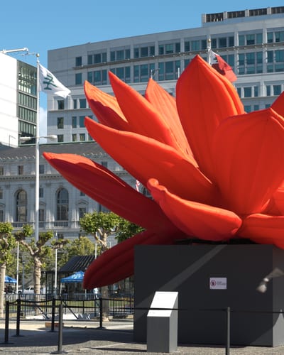 Choi Jeong-Hwa