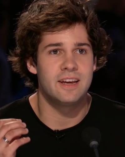 David Dobrik