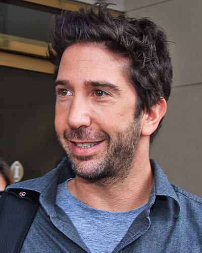 David Schwimmer