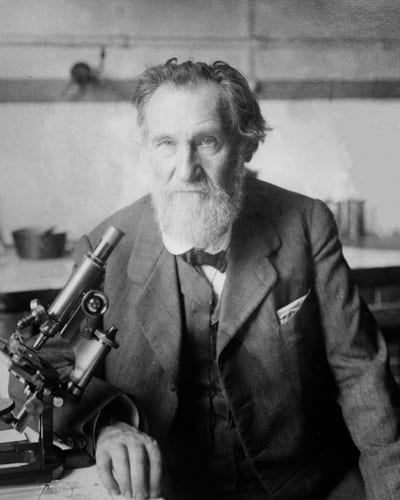 Elie Metchnikoff