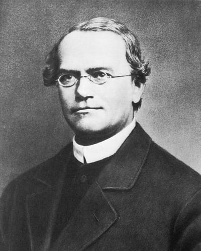 Gregor Mendel