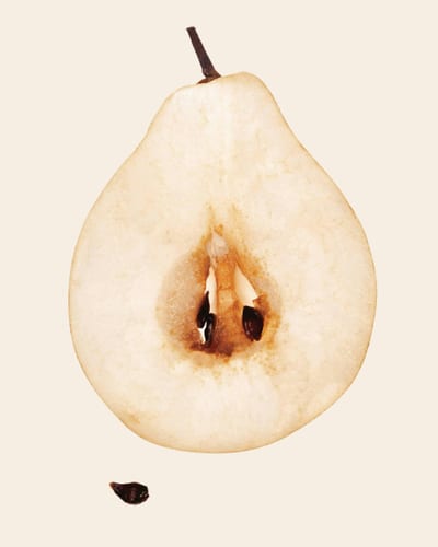 Poire