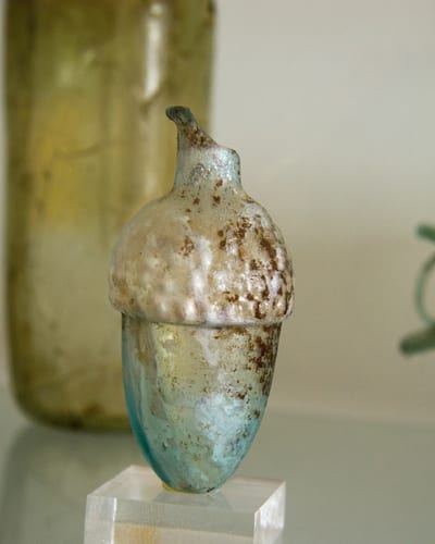 Roma Acorn