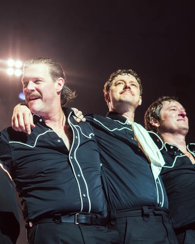 The Hives