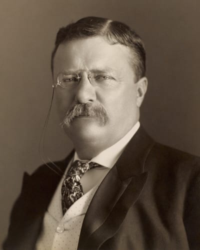 Photograph of Theodore Roosevelt, 26th President of the United States