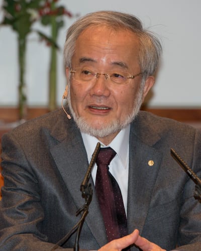 Yoshinori Ohsumi